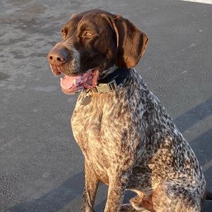 Meet your Posher, Colleen